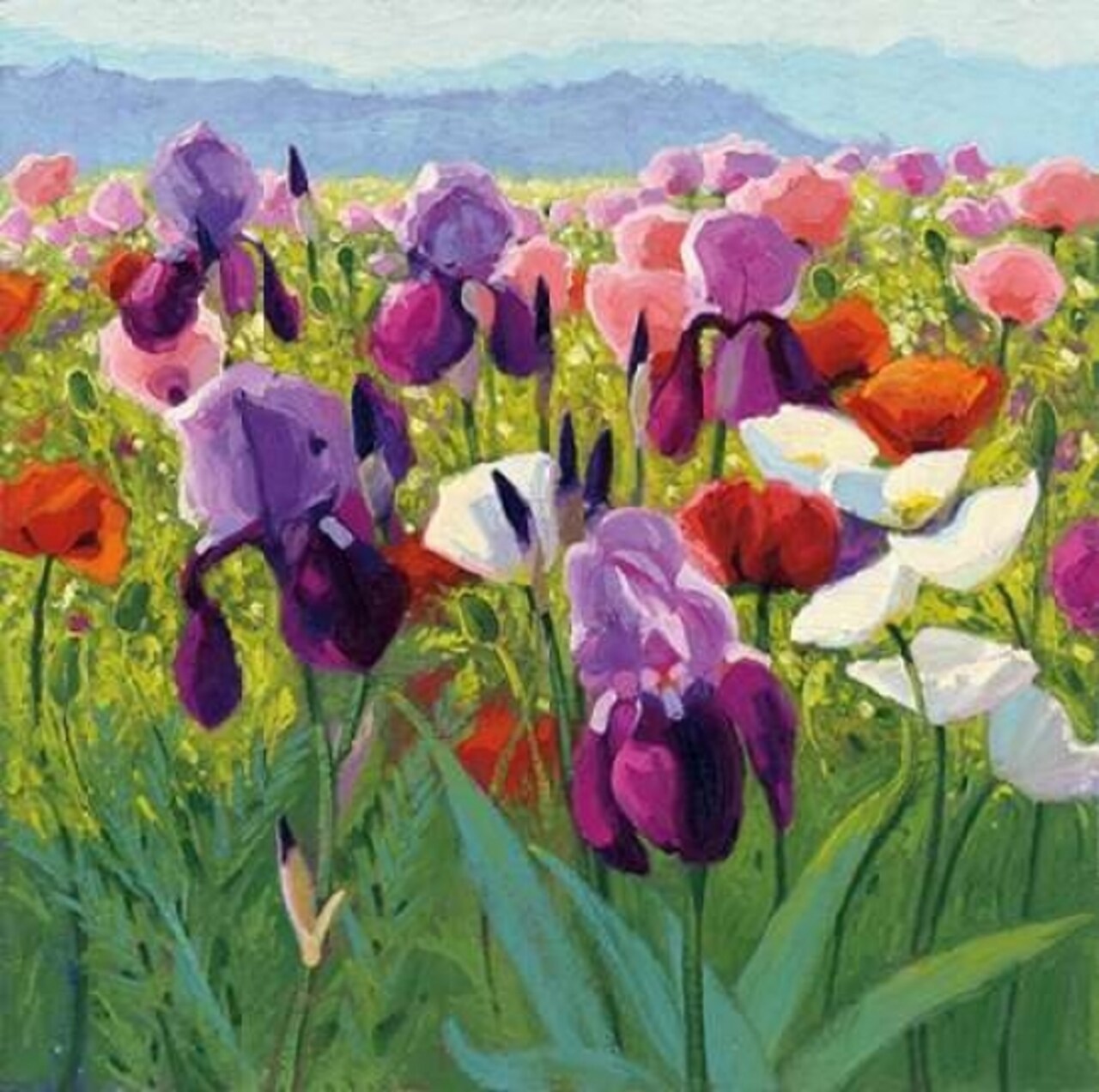 Early June Poster Print by Shirley Novak - Item # VARPDX22478